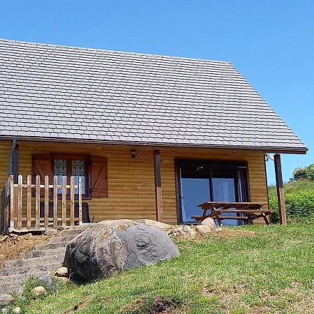 Chalet Sancy Saint-Genès-Champespe 外观 照片