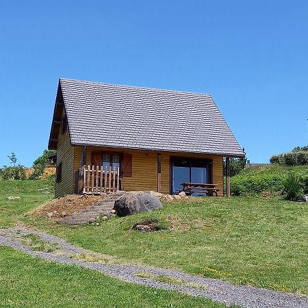 Chalet Sancy Saint-Genès-Champespe 外观 照片