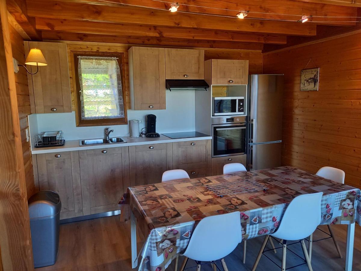 Chalet Sancy Saint-Genès-Champespe 外观 照片