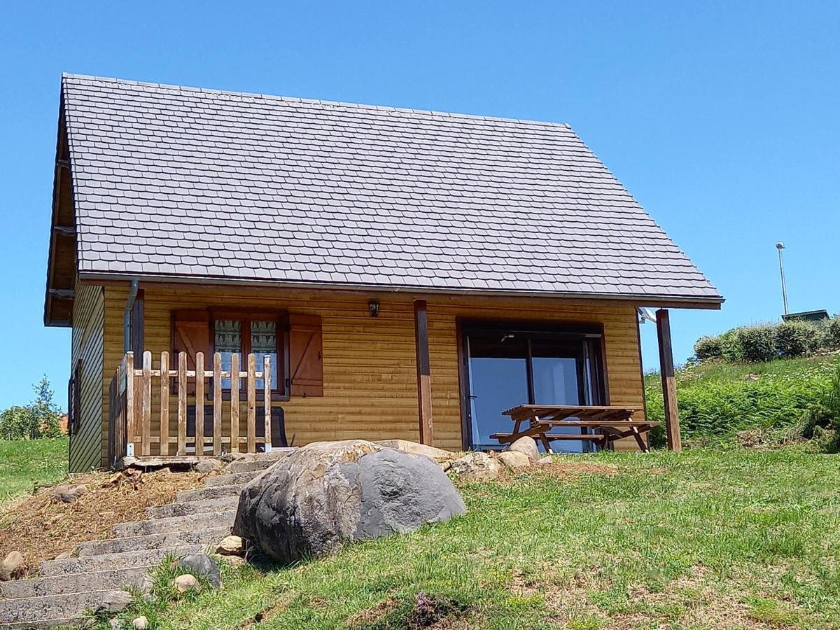 Chalet Sancy Saint-Genès-Champespe 外观 照片