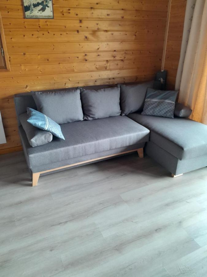 Chalet Sancy Saint-Genès-Champespe 外观 照片